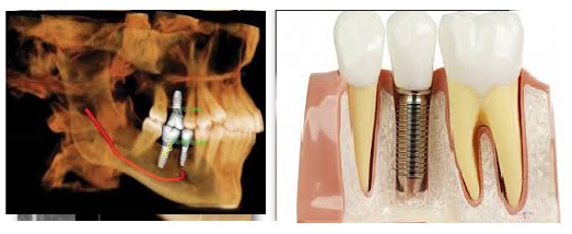 Doctor Profile Image