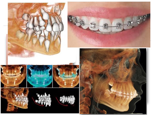 Doctor Profile Image