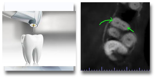 Doctor Profile Image